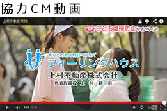 irem japan